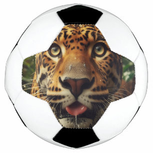 ジャングルで水をラッピングしながらヒョウが動く サッカーボール