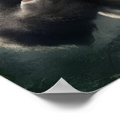 ジャングルで狂暴なサルのゴリラが鳴り響く ポスター (角)