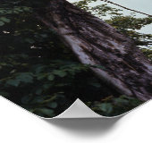 ジャングルにそびえる木とつる植物 ポスター (角)