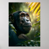 ジャングルに住む思慮深いチンパンジー ポスター (正面)