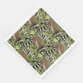 ジャングルに生息するリングや輪の尾を持つマダガスカルのレムルス (コーナー)