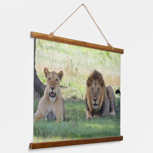ジャングルに野生のライオンのカップル 吊り下げ型タペストリー (傾斜あり)