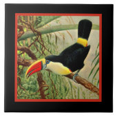 ジャングルに鮮やかなトロピカルトゥーカンヴィンテージ タイル (正面)