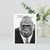 ジャングルのはがきの王 ポストカード (スタンド正面)