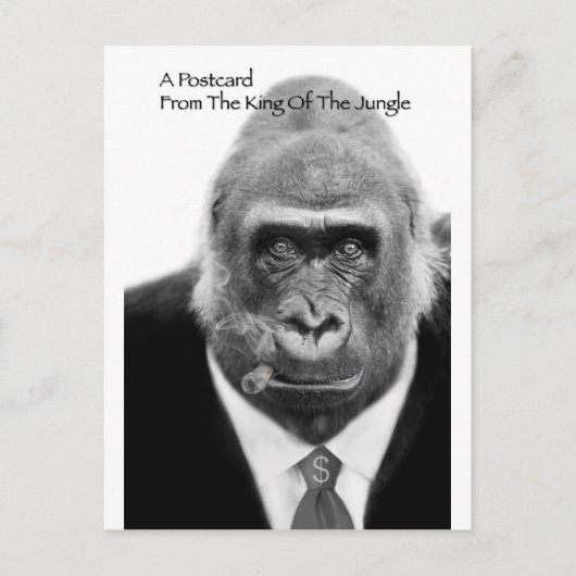 ジャングルのはがきの王 ポストカード (正面)