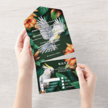 ジャングルのオウム・オウム・ハイビスカス・モンステラの葉