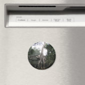 ジャングルのカンボジアの寺院 マグネット (インサイチュ (食洗機))