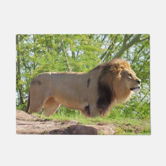 ジャングルのキング（ライオン）ドアマット ドアマット (正面)