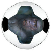 ジャングルのサル サッカーボール (回転)