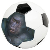 ジャングルのサル サッカーボール (3/4)