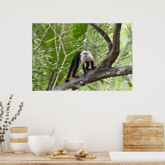 ジャングルのサル ポスター (キッチン)