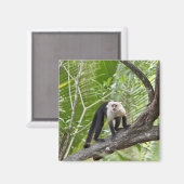 ジャングルのサル マグネット (正面/裏面)