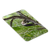 ジャングルのサル マグネット (右側)