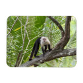 ジャングルのサル マグネット (横)