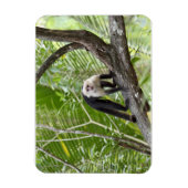 ジャングルのサル マグネット (縦)