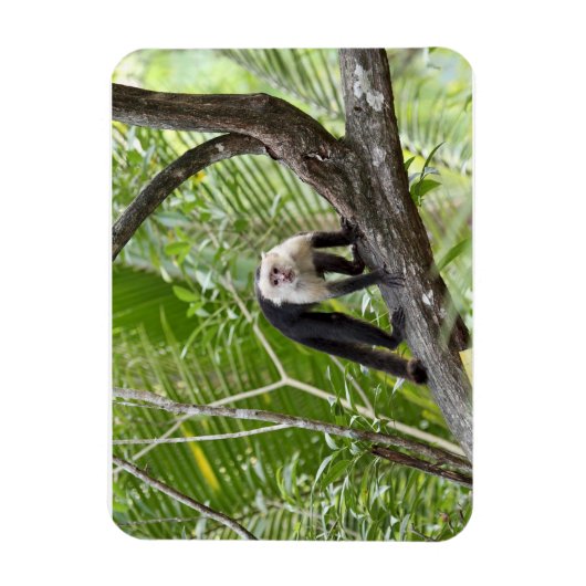 ジャングルのサル マグネット (縦)