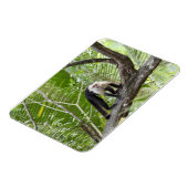 ジャングルのサル マグネット (左側)