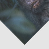 ジャングルのサル 薄葉紙 (詳細)