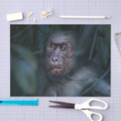 ジャングルのサル 薄葉紙 (クラフト)