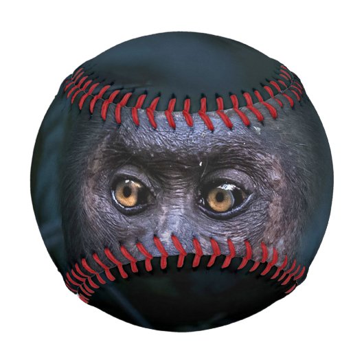 ジャングルのサル 野球ボール (正面)