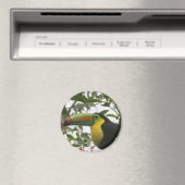 ジャングルのトゥーカン マグネット (インサイチュ (食洗機))