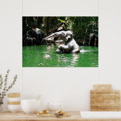 ジャングルのバングル36 x 24ポスター ポスター (キッチン)