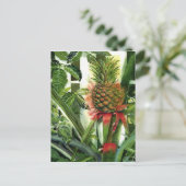 ジャングルのパイナップル ポストカード (スタンド正面)