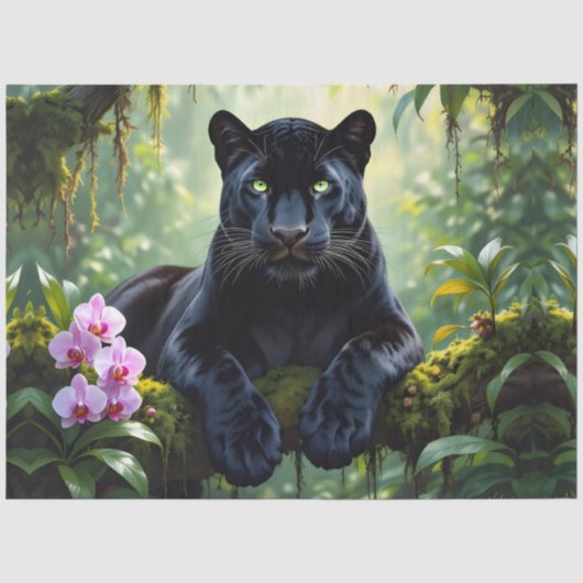 ジャングルのブラックパンサー 薄葉紙 (正面)