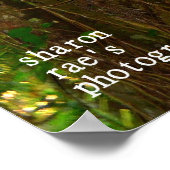 ジャングルのポスター ポスター (角)