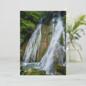 ジャングルのメレマート滝 サンキューカード (スタンド正面)