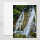 ジャングルのメレマート滝 サンキューカード (正面/裏面)