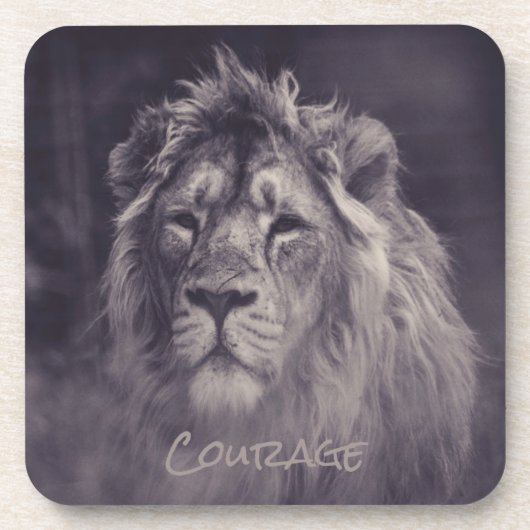 ジャングルのライオンの勇気キング コースター (正面)