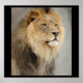 ジャングルのライオンキング ポスター (正面)