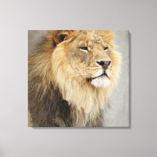ジャングルのライオン王 キャンバスプリント (正面)