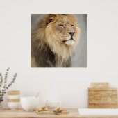 ジャングルのライオン王 ポスター (キッチン)