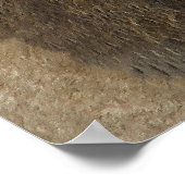 ジャングルのライオン王 ポスター (角)