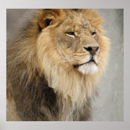 ジャングルのライオン王 ポスター