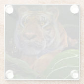 ジャングルの中で臥虎 ガラスコースター (裏面)