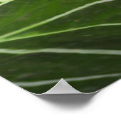 ジャングルの中で臥虎 ポスター (角)