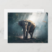 ジャングルの中の象 ポストカード (正面/裏面)