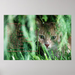 ジャングルの伝説 ポスター