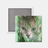 ジャングルの伝説 マグネット (正面/裏面)