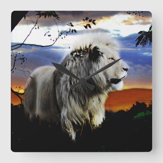 ジャングルの南アフリカ共和国のライオン スクエア壁時計 (正面)