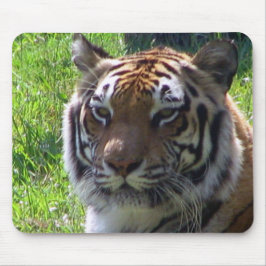ジャングルの女王 マウスパッド