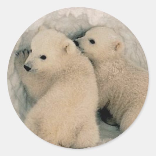 ジャングルの宝石のシール ラウンドシール (正面)