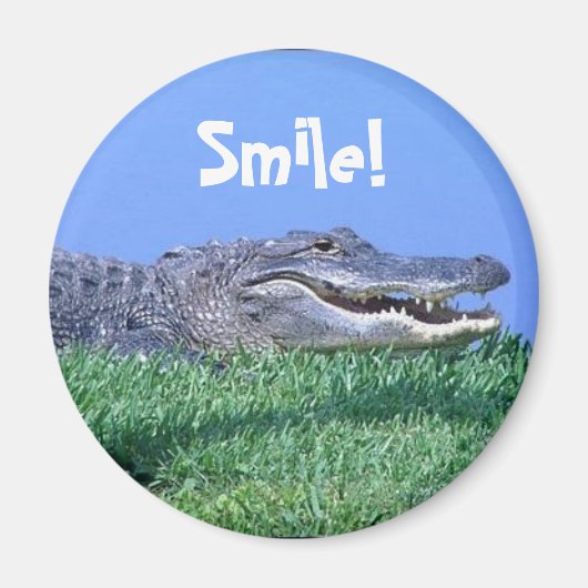 ジャングルの宝石磁石 マグネット (正面)