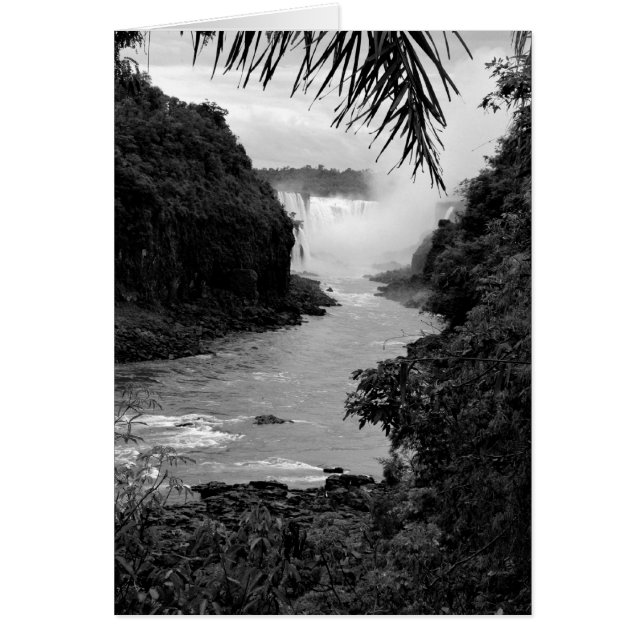 ジャングルの宝 (正面)