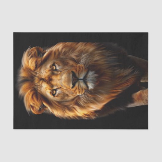 ジャングルの新しい王1 薄葉紙 (正面)