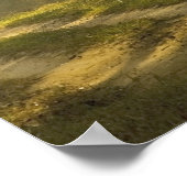 ジャングルの木々の間を朝の光が照らす ポスター (角)