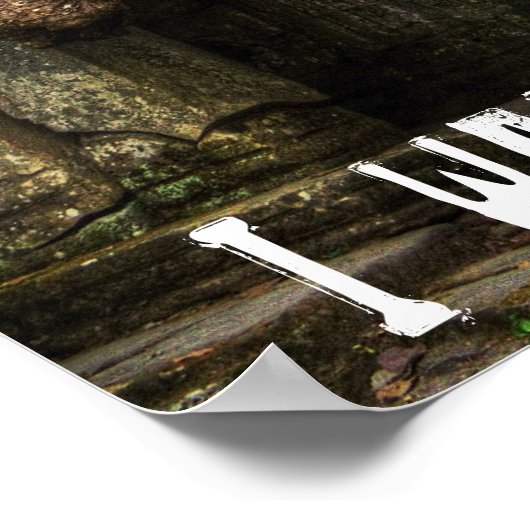 ジャングルの本のポスター ポスター (角)